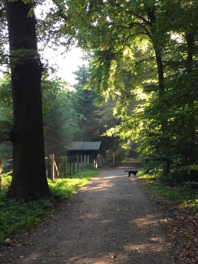 Hannover List 2 Bedroom Home Away From Home Esterno foto